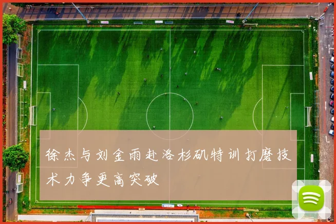 徐杰与刘金雨赴洛杉矶特训打磨技术力争更高突破