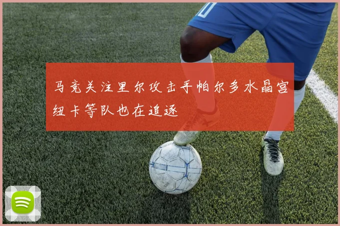 马竞关注里尔攻击手帕尔多水晶宫纽卡等队也在追逐