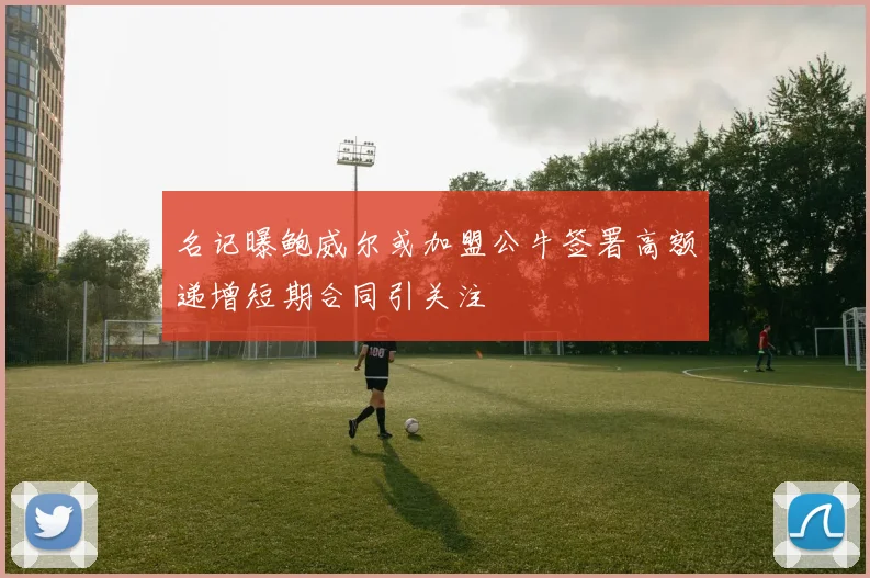 名记曝鲍威尔或加盟公牛签署高额递增短期合同引关注